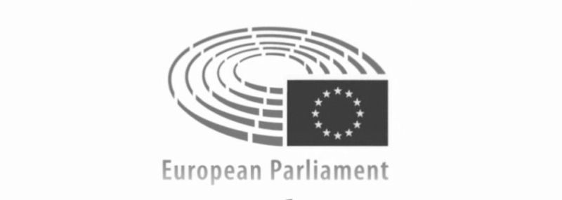 europsko-volontiranje-izglasana-rezolucija