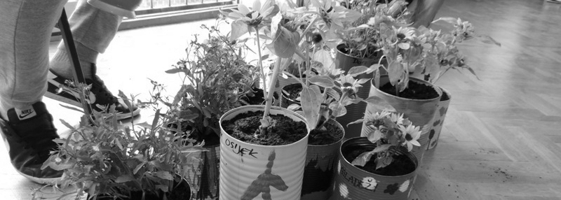 volonterska-akcija-doma-za-odgoj-djece