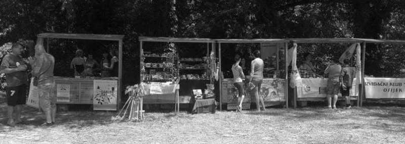 volonterski-centar-na-eco-festu