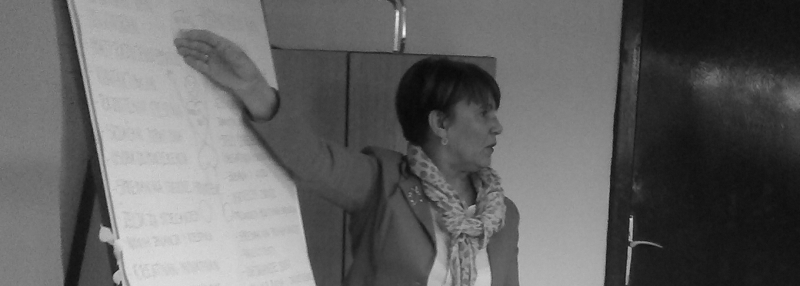 u-belisu-odrzan-menadzment-volontera