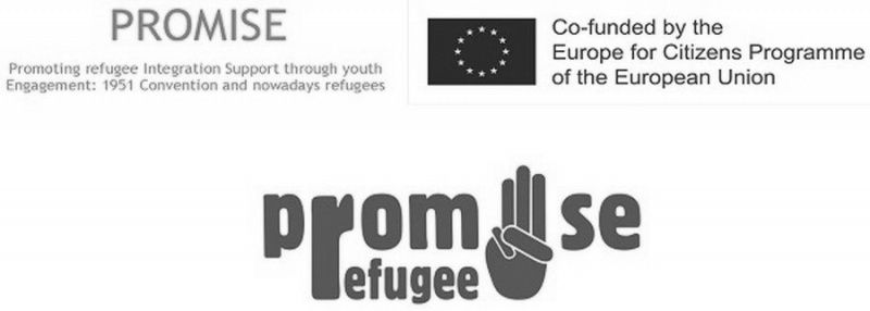 meunarodni-projekt-promise