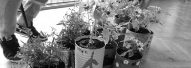 volonterska-akcija-doma-za-odgoj-djece