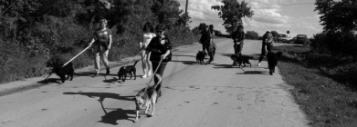 hrvatska-i-dalje-volontira