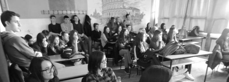 o-volonterstvu-u-nasicama